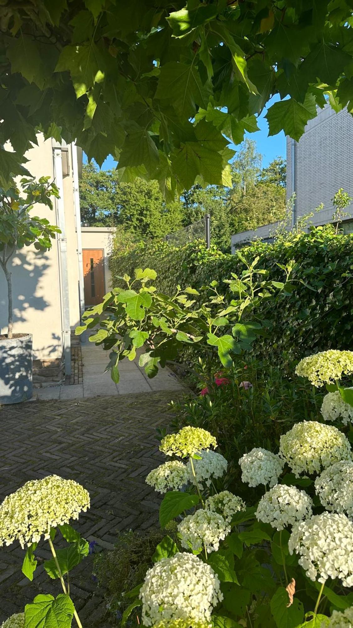 Luxe B&B "In De Schulp", Ontspan En Geniet Van Comfort En Stijl Amstelveen Exteriör bild