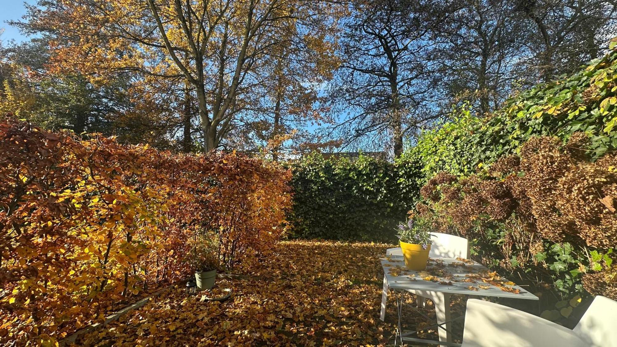 Luxe B&B "In De Schulp", Ontspan En Geniet Van Comfort En Stijl Amstelveen Exteriör bild